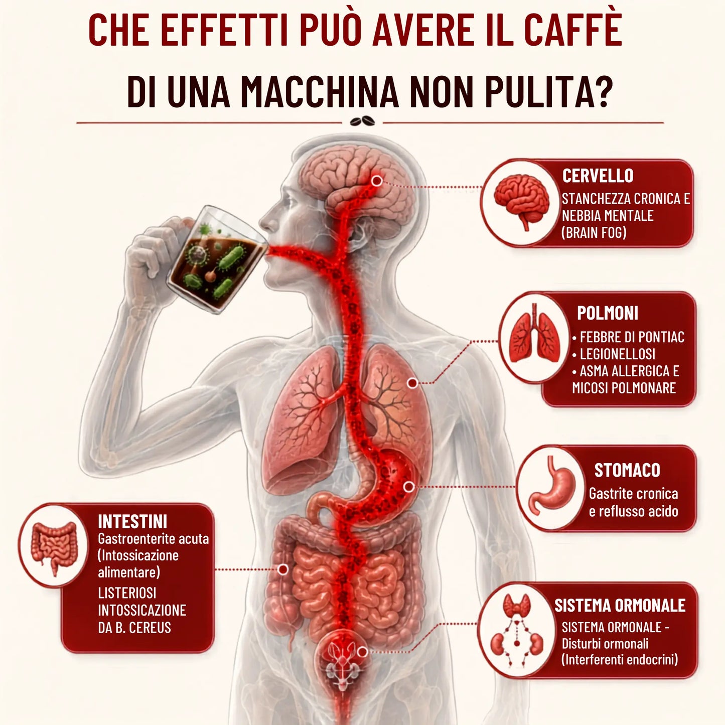 Clanixa Pastiglie 3 in 1 – Anticalcare, Sistema Latte e Circuiti Interni
